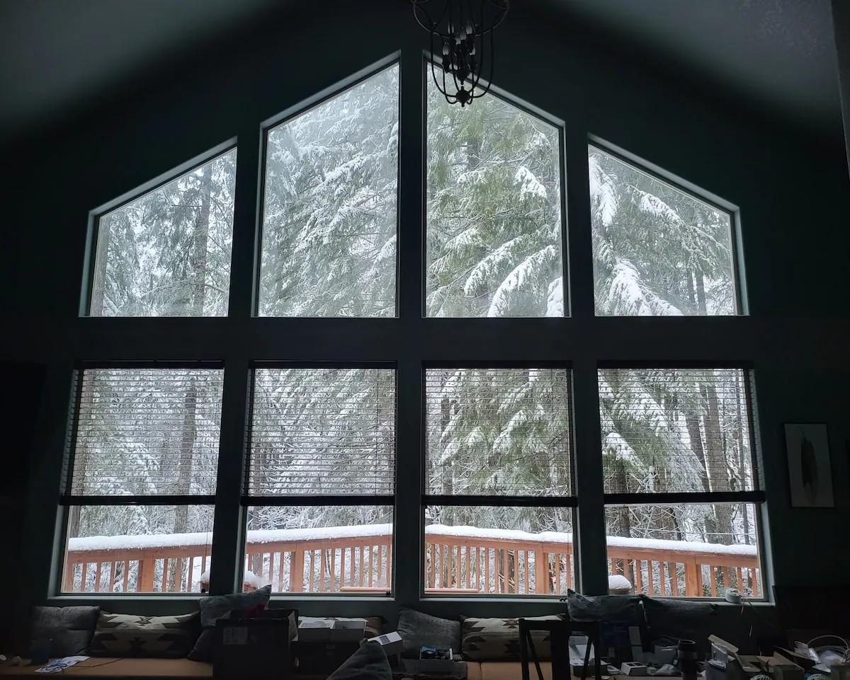 Lost Shelter Chalet windows looking into the trees
